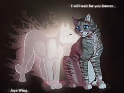 jayfeather and halfmoon jayfeather and halfmoon