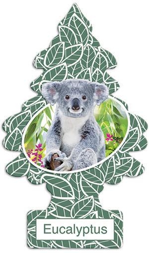 Eucalyptus