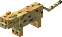 cat cat