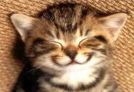 Yes! I lovez it! Yes! I lovez it!