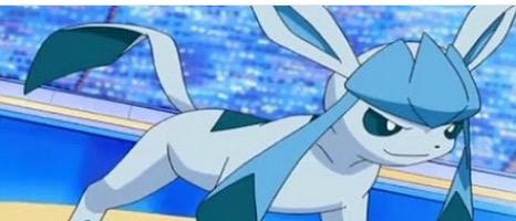 Shy Glaceon Shy Glaceon