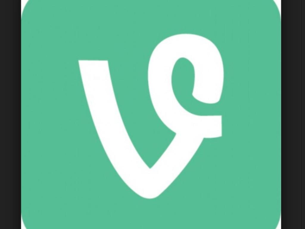 Vine