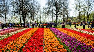 spring spring