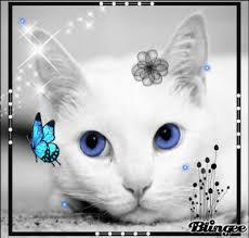 Frostfur Frostfur