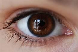 Brown Brown