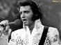 Elvis Presley (King of Rock N' Roll)