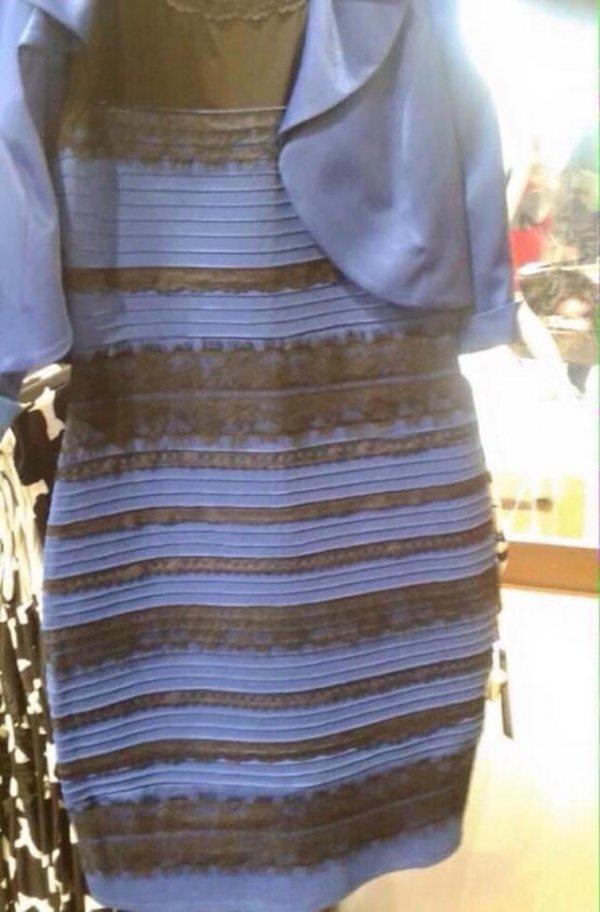 White and Gold