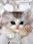 Marshmellow kitten