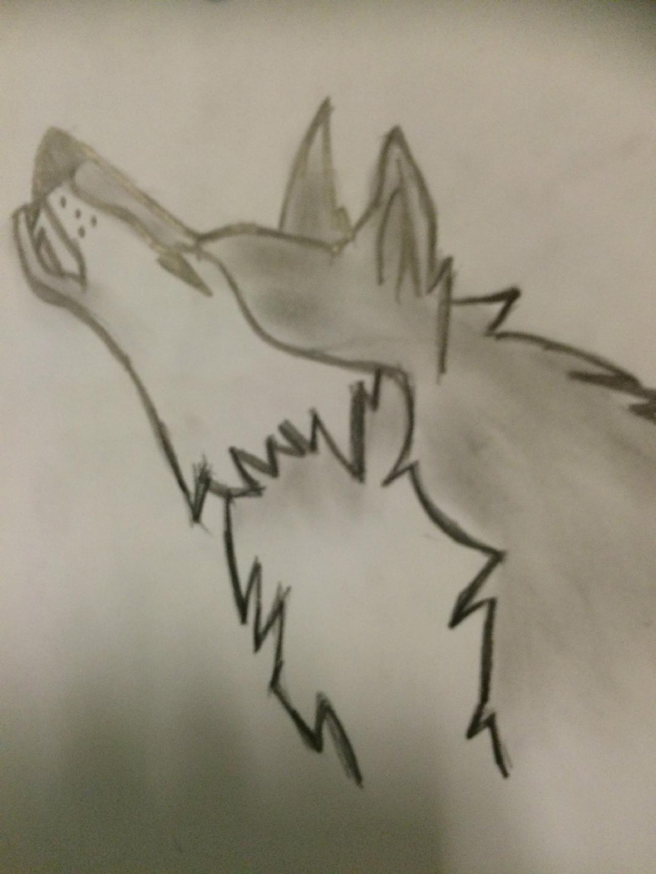 Wolf Wolf