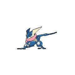 Greninja(my partner)