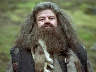 Professor Hagrid! Professor Hagrid!