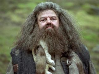 Professor Hagrid!