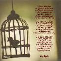 Caged bird-