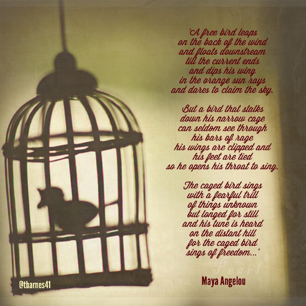Caged bird- Caged bird-