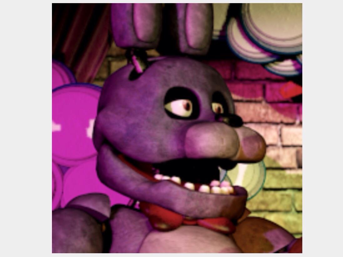 Bonnie The Bunny Bonnie The Bunny