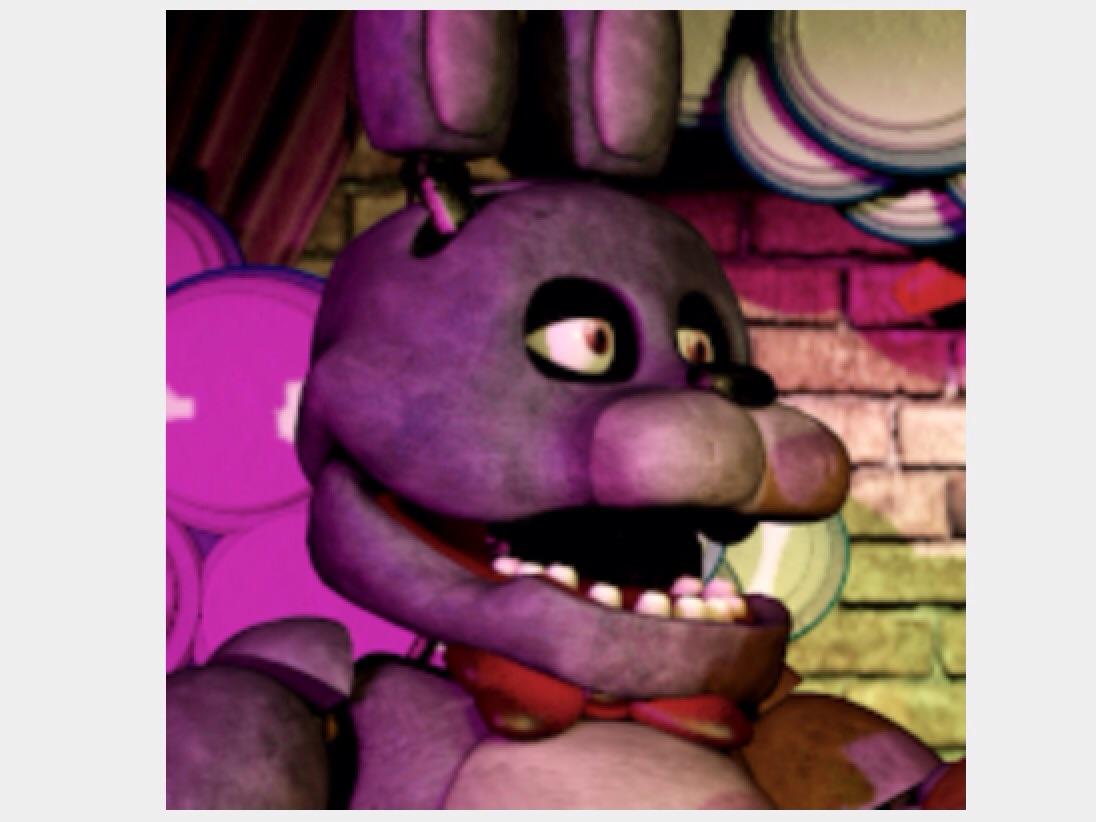 Bonnie The Bunny