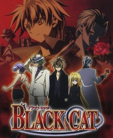 Black cat Black cat
