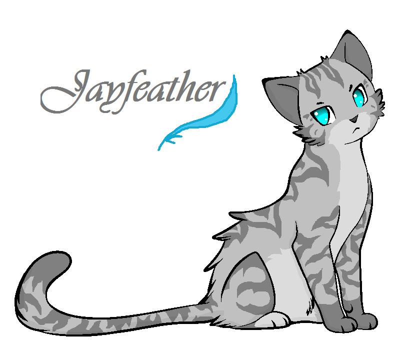 Jayfeather