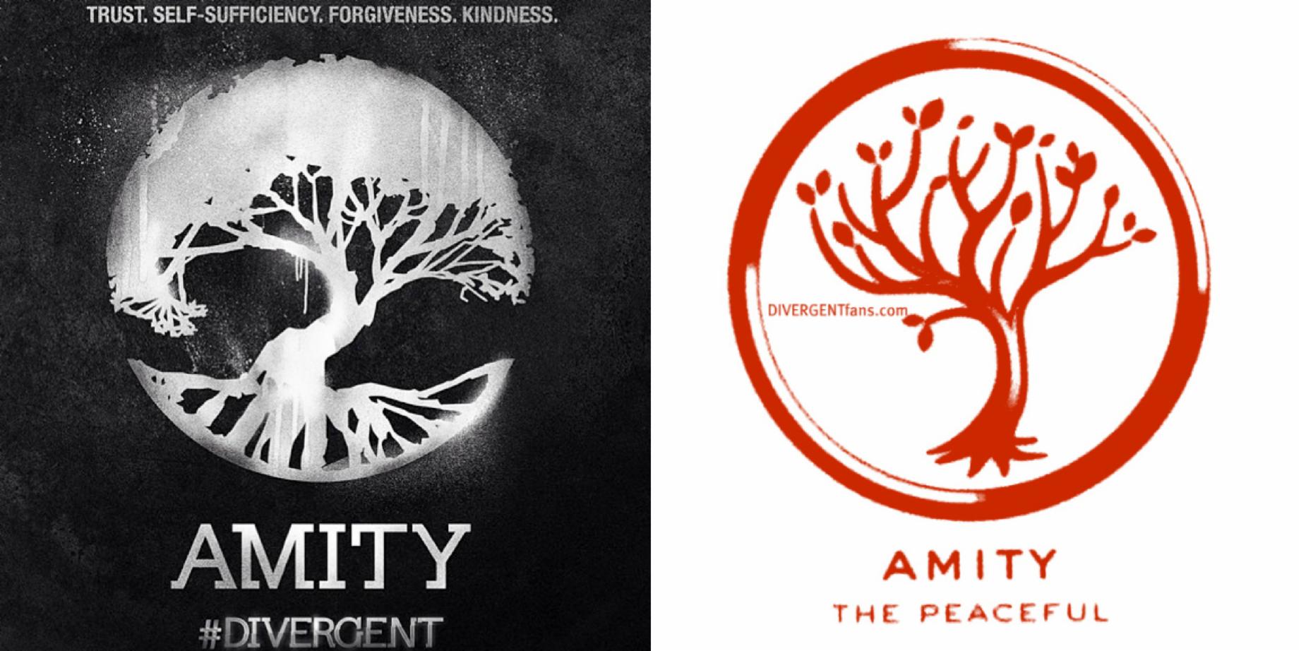amity amity