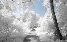 White White