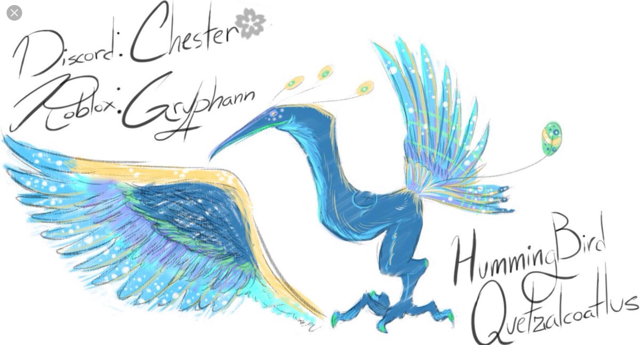 Hummingbird Quetzalcoatlus Hummingbird Quetzalcoatlus