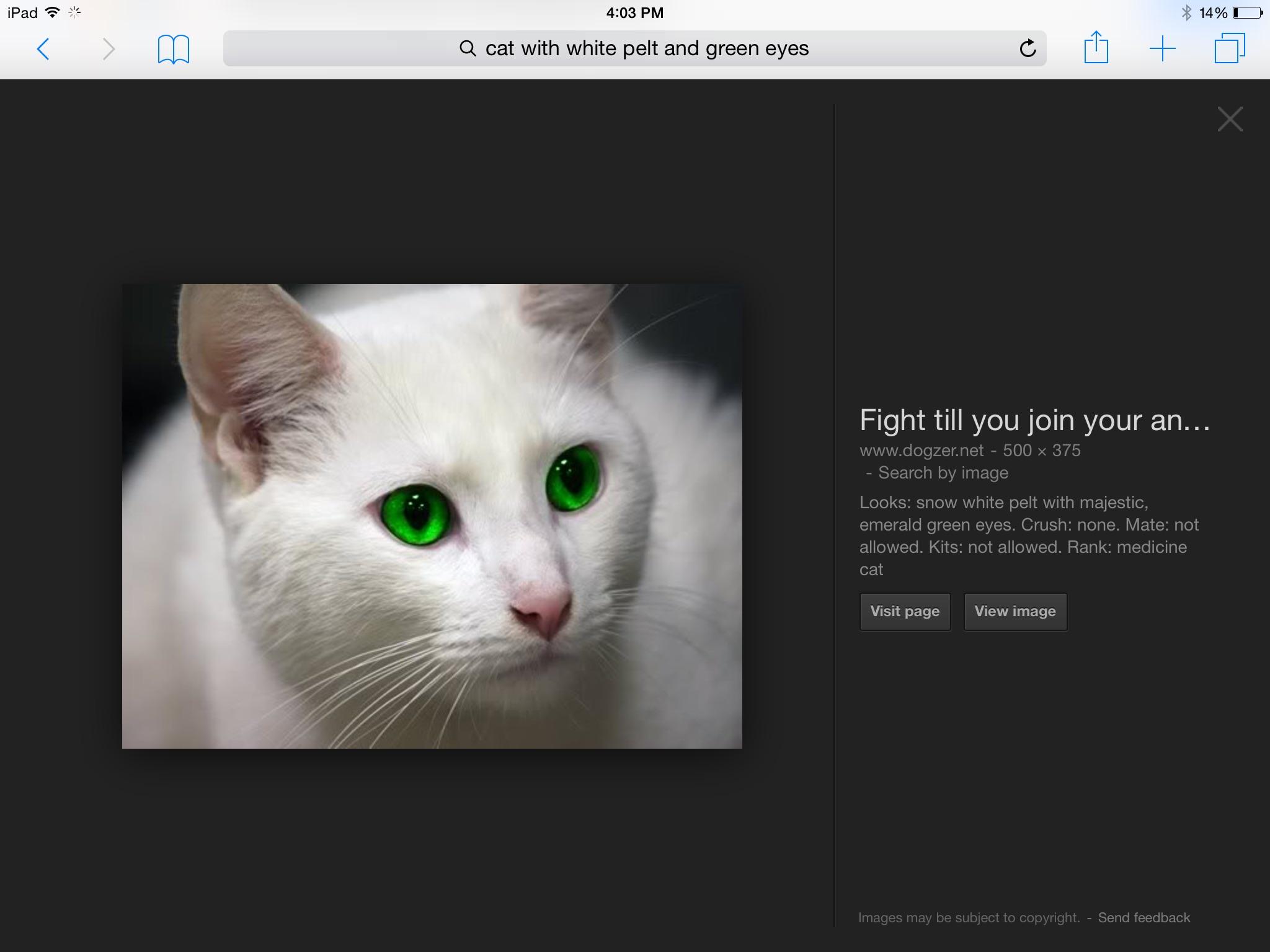 OMG DIS ONE! OMG DIS ONE!