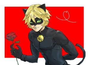 Chat Noir