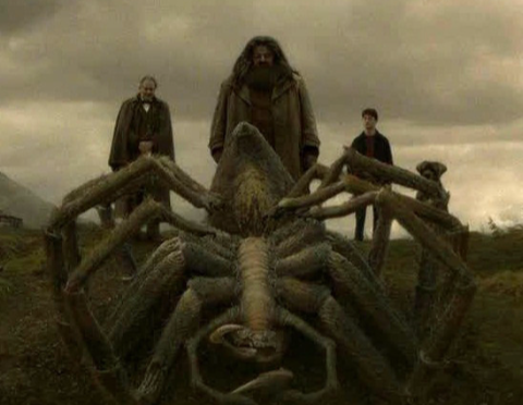 I like the frightening yet tame-able Arogog. Even though Hagrid was the only person he would spare. I like the frightening yet tame-able Arogog. Even though Hagrid was the only person he would spare.