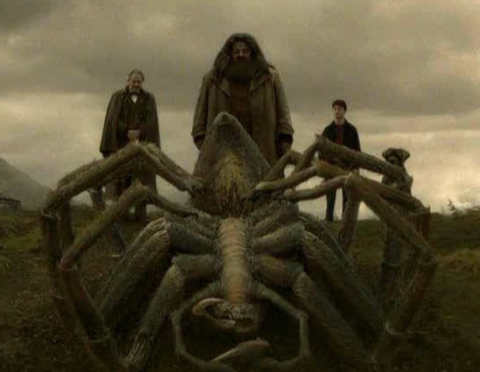 I like the frightening yet tame-able Arogog. Even though Hagrid was the only person he would spare.