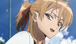 rei miyamoto(high school of the dead)