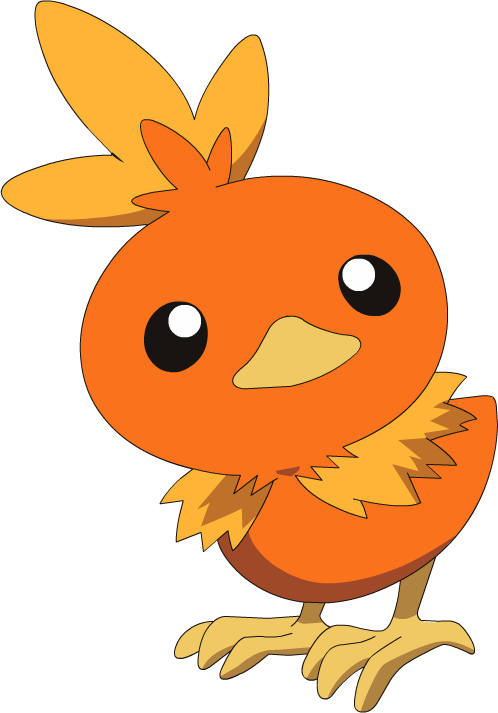 Torchic Torchic