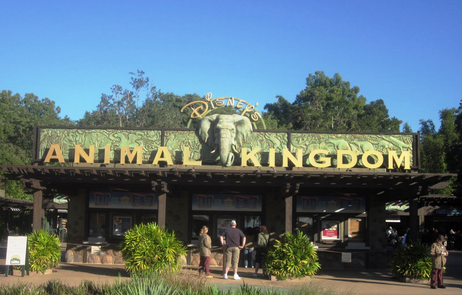 Animal kingdom Animal kingdom