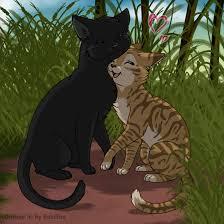 Crowfeather and Leafpool Crowfeather and Leafpool