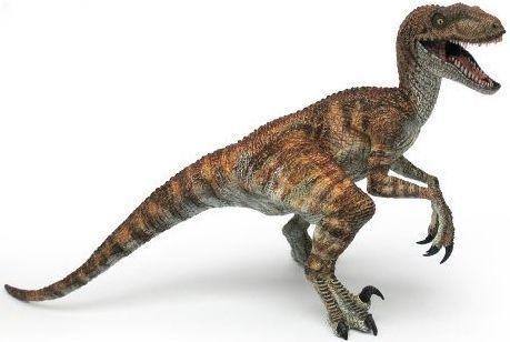 Velociraptor Velociraptor