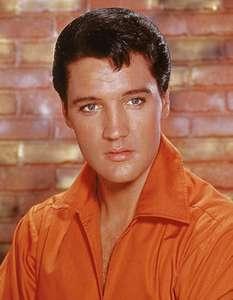 Elvis Elvis
