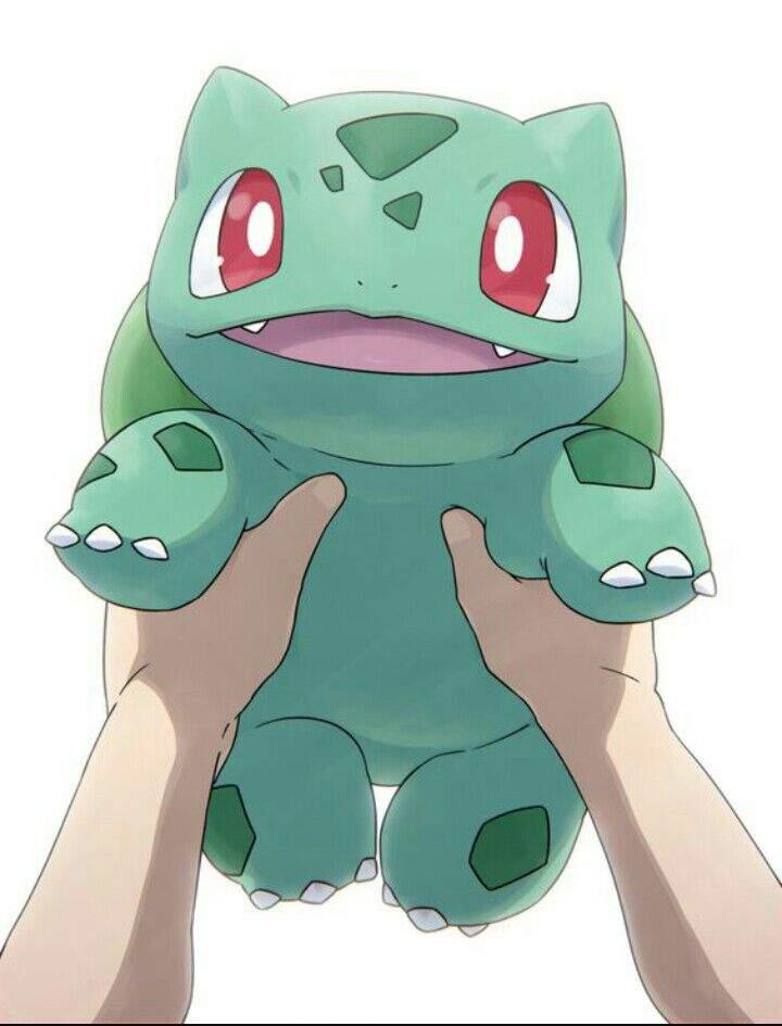bulbasaur bulbasaur