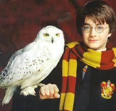 Hedwig Hedwig