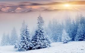 Snow Snow