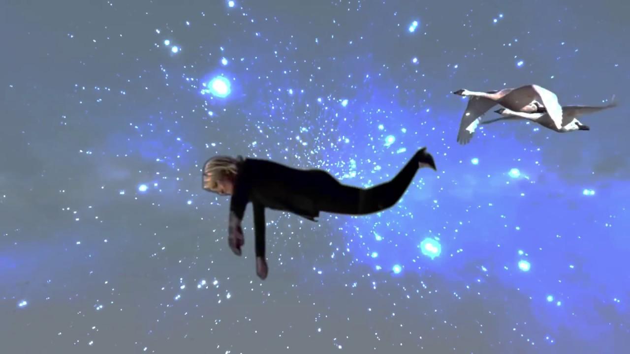 Shooting Stars Shooting Stars