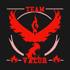 Team valor aka my team