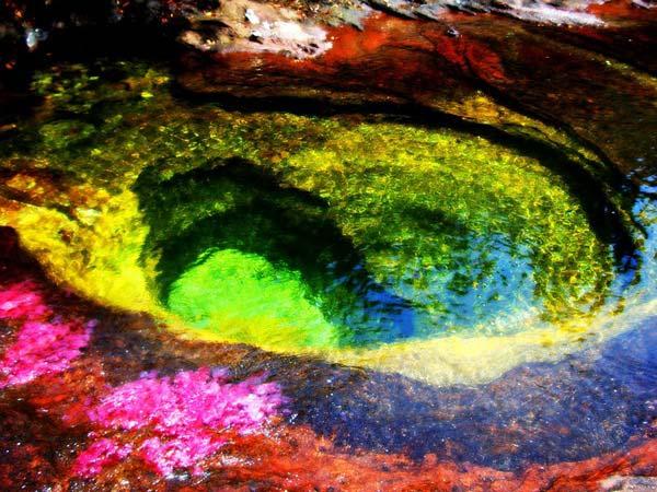 caño cristales river