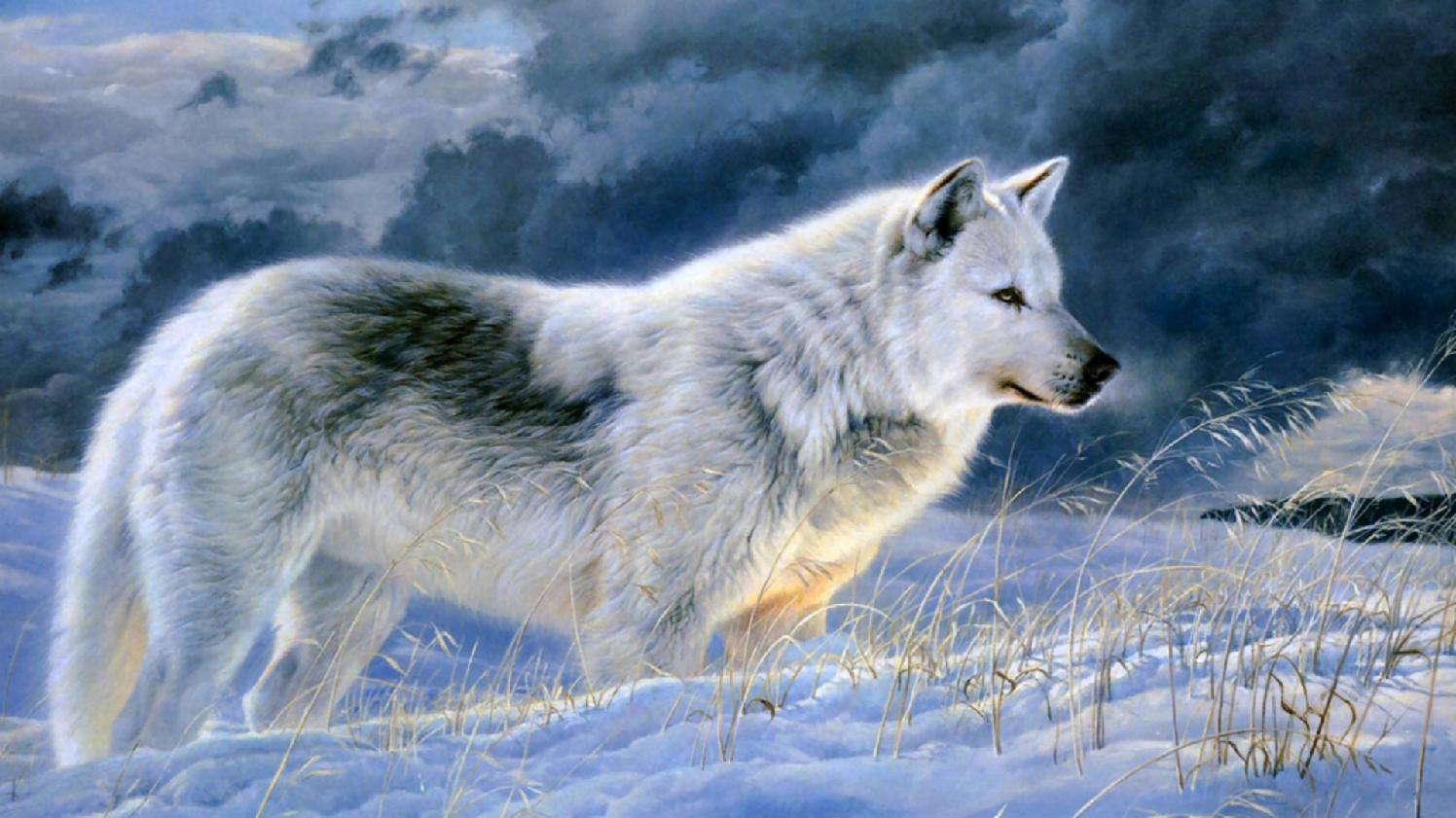 Wolves Wolves