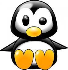 Penguins Penguins