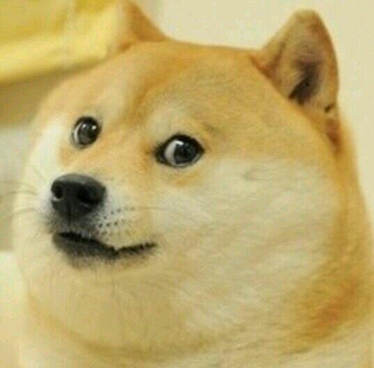 Doge Doge
