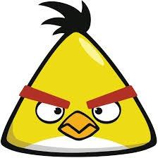 Chuck Chuck