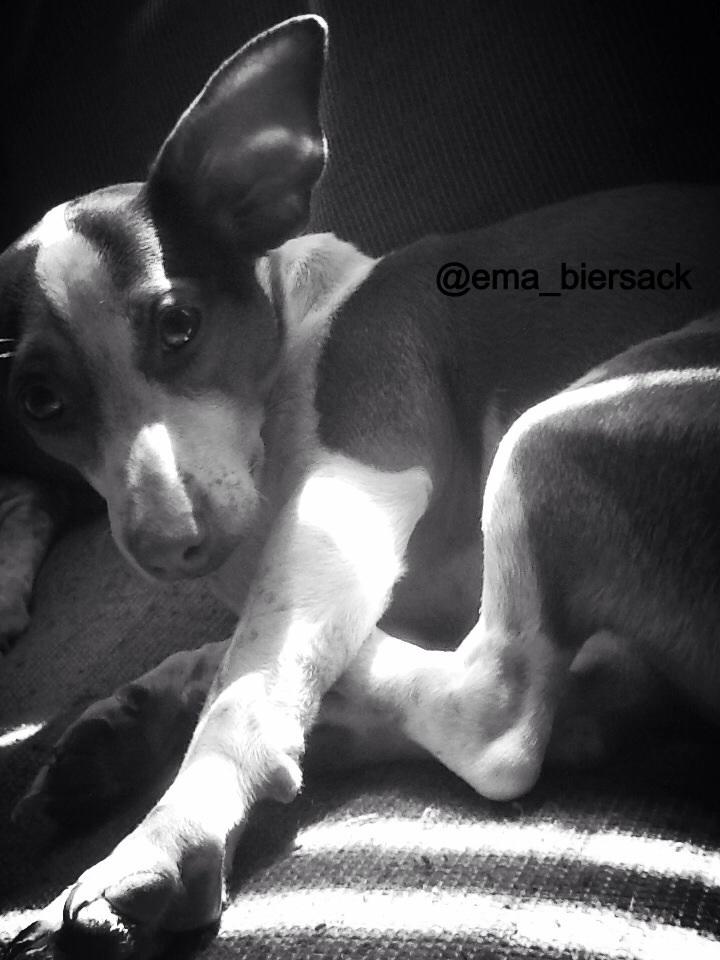 Black & white? Black & white?