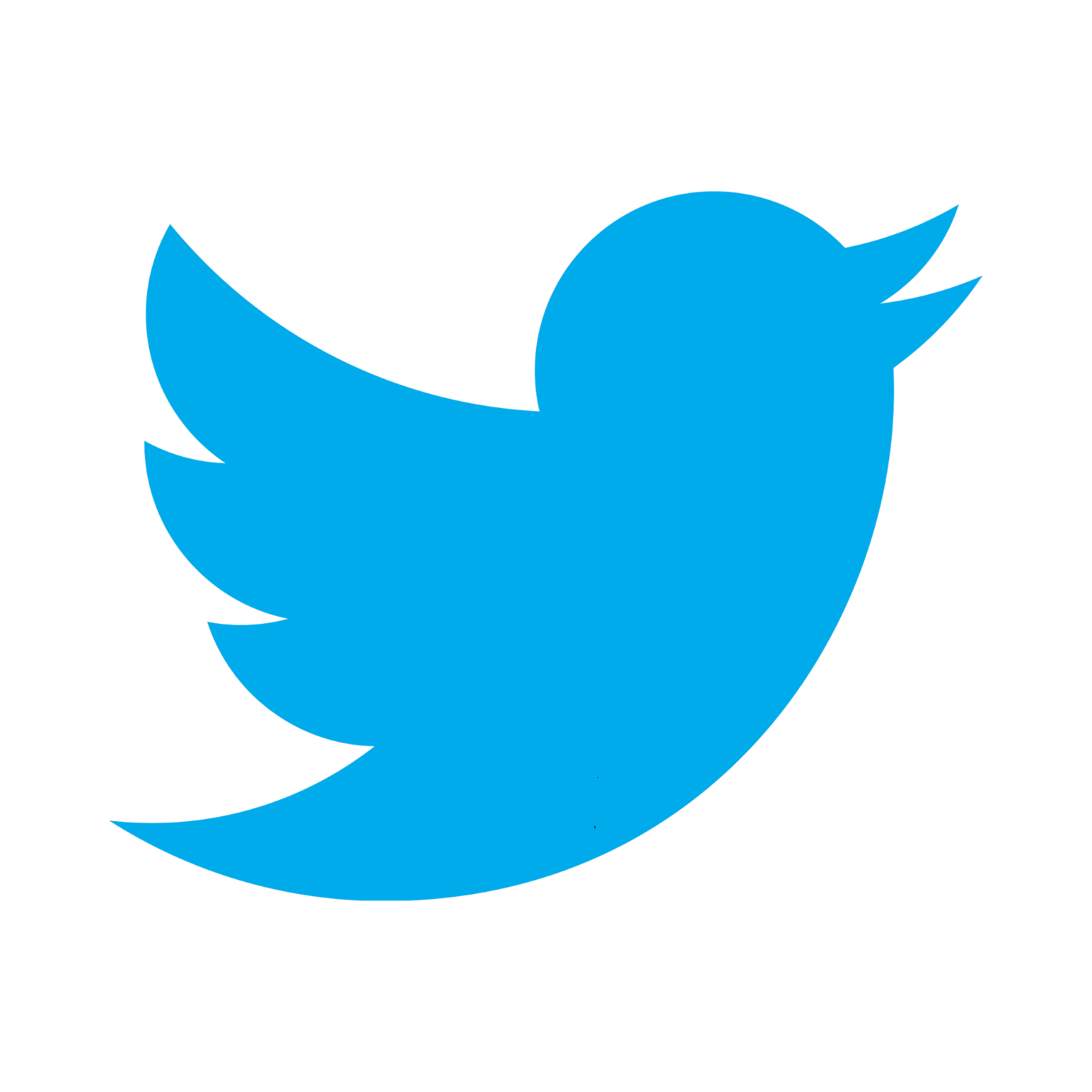 Twitter Twitter