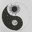 Earth & moon ying yang