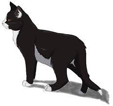 Tallstar Tallstar