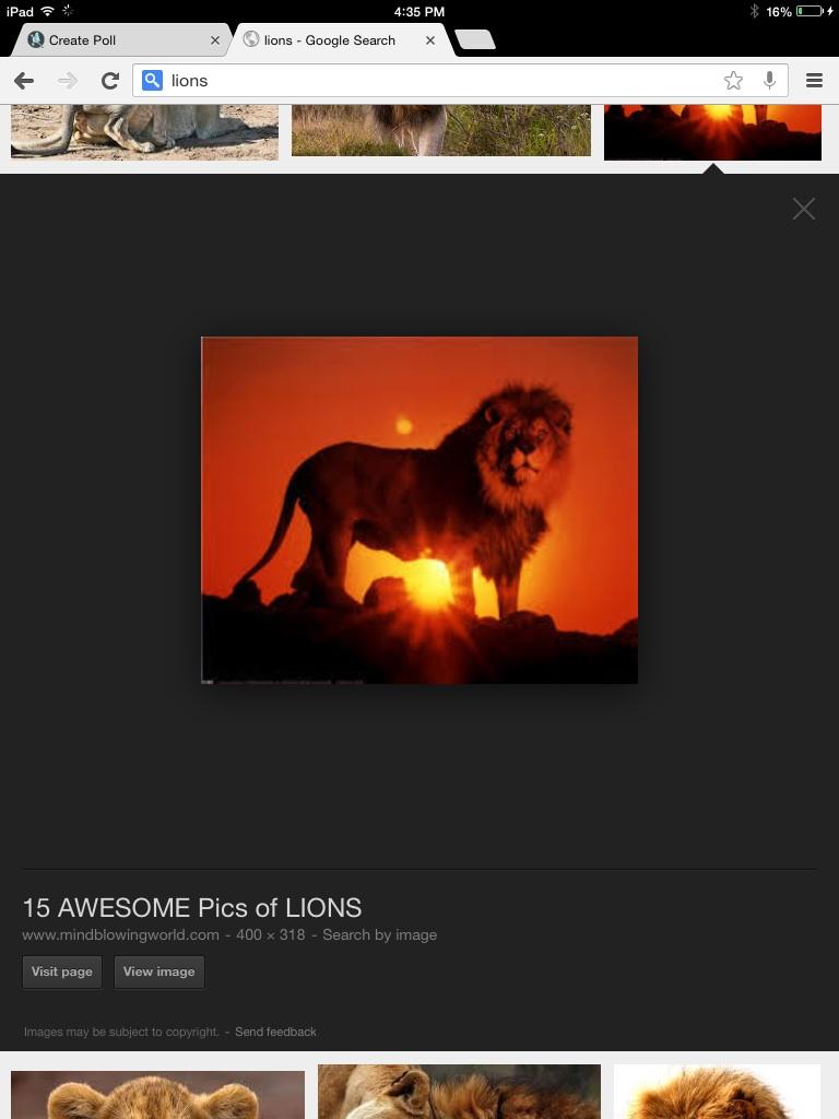 Lions Lions